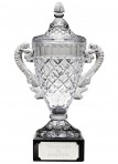 Glass Trophy/Cup